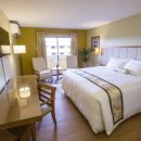 프라자 크리닝 이미지