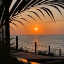 지금애월 이미지