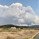 아맛나찜닭 이미지