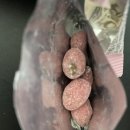 씨제이프레시웨이 주식회사
