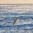 연곡해변관광지 이미지