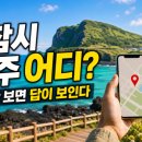 트믐 | 전참시 제주 어디, 한 곳만 보면 헷다르게 보이는 이유와 지금 확인할 장면