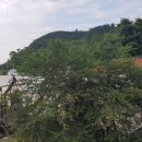 영월오아시스 글램핑 이미지