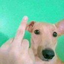 여기는 피씨방 | 피씨방 알바 후기 🎮