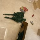 스테이481 이미지