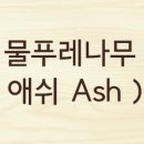 까미팜 이미지
