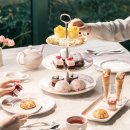 애프터눈 이미지