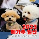 (주)온힐 | 2023 일산 킨텍스 메가주 펫페어 방문후기 주차 꿀팁 사은품 득템 쭈쭈쭈 이벤트 행사 일정 가볼만한곳