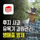 황산사과농원 | 후지사과 유목기 과원관리 병해충 방제