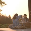 효리네 민박 이미지