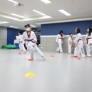 인성태권도장 이미지