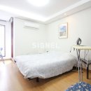 프리마 베라 이미지