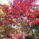 화왕산민박 이미지