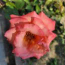 곡성-252 이미지