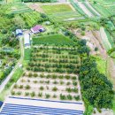 하늘농장3 이미지