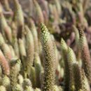 김태순농장 이미지