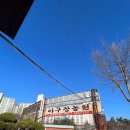 야구장농원 이미지