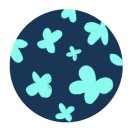 원조본가산곰장어집 이미지