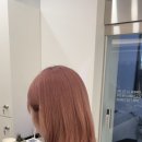 다예라인 이미지