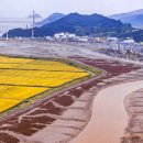 대덕산2길 이미지