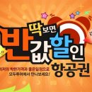 히트여행사
