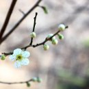 원효정사 | 통영시 - 통영 안정사 가섭암, 통영 안정사 대웅전, 통영 안정사 만세루