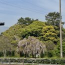 대천동주민센터 이미지