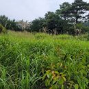 산청군산림조합 이미지