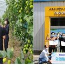 일산자두골마을 이미지