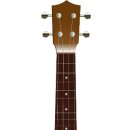 노래로 배우는 우쿨렐레 이미지