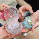 계당지 | 일산 네코가챠(nekogacha)샵 후기｜가챠샵이란? 아이들과 가면 돈이 사라지는 마법의 공간...