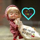 하얀노을 이미지