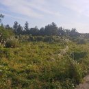 서광서보건진료소 이미지