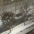 세브레스약국