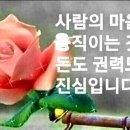 이젠 사랑할 수 있어요 / 솔개트리오 - 여인 이미지