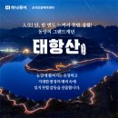 드림온투어