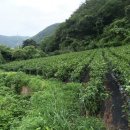 신용농원 이미지