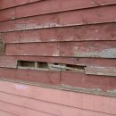 죽향초등학교 이미지