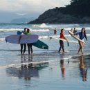 고흥바다장어 이미지