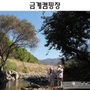 금계관광농원