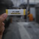 약목식육식당 이미지