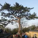 성전고등학교 | [우공 님 번개 첫째날] - 전남 해남읍, 윤선도유적지,석문산, 백련사, 강진읍, 무위사, 누릿재, 영암읍