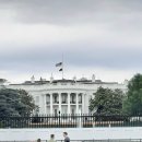 백악관관광나이트 이미지