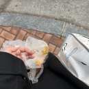 마젤오션 이미지