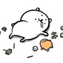 포항뒷고기