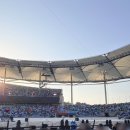 라인댄스 A반 | [공지] 박효신 LIVE A &amp; E 2026 인천 &amp;11 석 중콘 후기 그리고 꿀팁공유