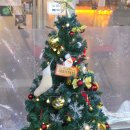 꿀단지 PC | 내돈내산 상동 데이트 코스 추천 퇴근 후 한잔하기 좋은 이자카야 상큐