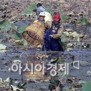 가래치기 이미지