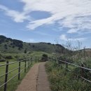 성읍리-28 | 오름덕후의 용눈이 vs 백약이 둘 다 가본 솔직 후기