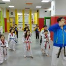 키즈연세태권도장 이미지